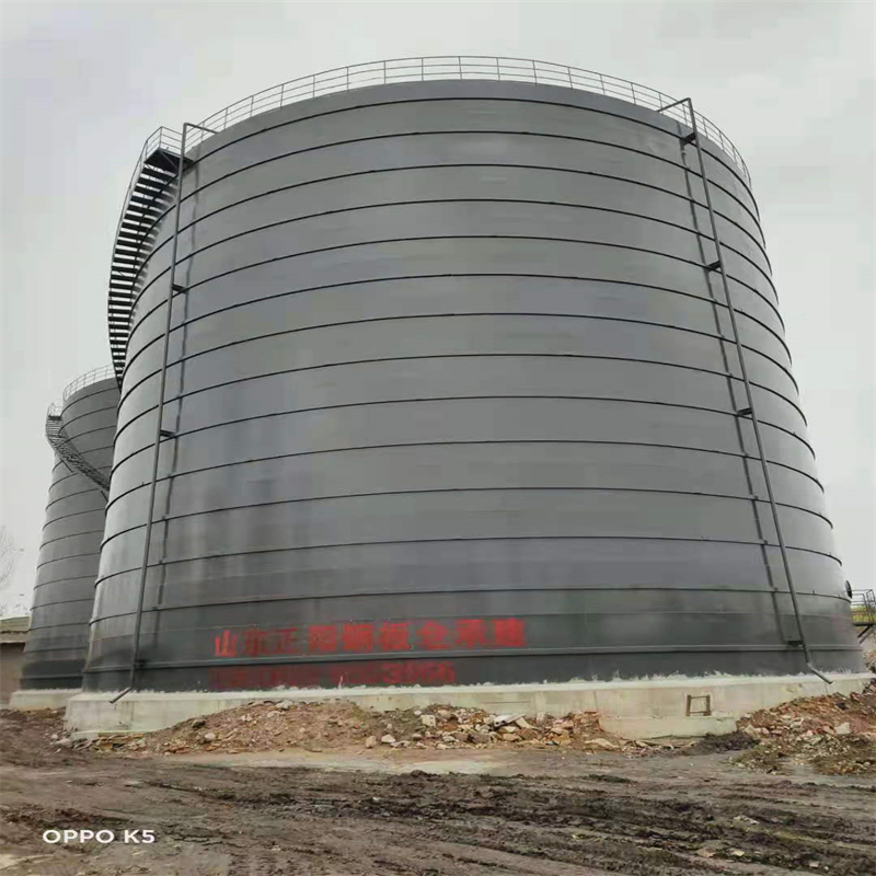 龙子湖3万吨大型钢板库