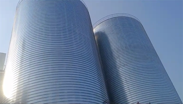 龙子湖2座混凝土高架卷板仓